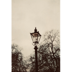 Friends Of Narnia