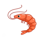 My shrimpys!!!!
