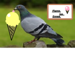 Pigeon Ice Cream