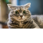 |Cats_United|