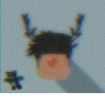Maxii