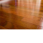 FLOOR GANG (NOT A CULT)