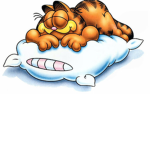 •Sleep gang•