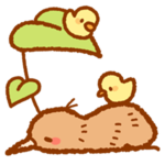 kawii kiwi bird