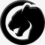 Criminal clan