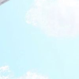 ✧