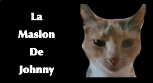 La masion de Johnny