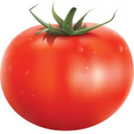 Tomato Club.