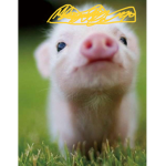 da pig squad!