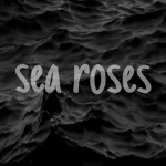 ʚ sea roses ɞ