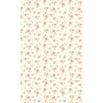 24katiexx