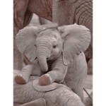evie elephants!