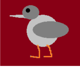 pigeon city