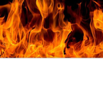 The Fur Burners