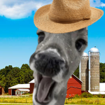 Farming Studios Gamess