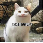 交易r群