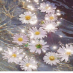 The_flower besties