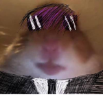 We Are the Roblox Kids
