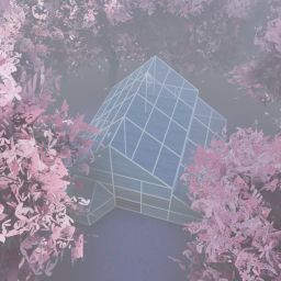 Pink House