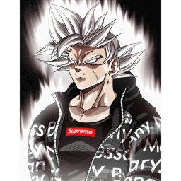Dragon Ball Z Projects 2