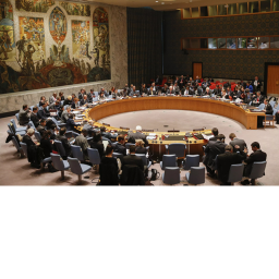 United Nation Security Council