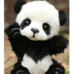 panda groupp