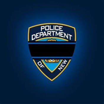 NYPD TRAINING GROUND 2.0