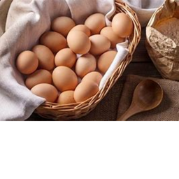 eggs fans only