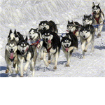 Dog Sled Group