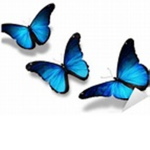 Butterfly Squad :By Addy