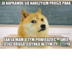 shiba tm