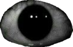 They Will Find You