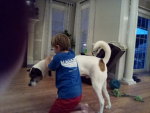 Hudson's World