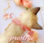 ! Prest1g3 !
