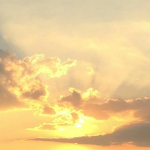 hannah’s suns