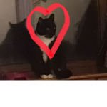 Tinyyyyy