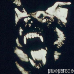 PROPHET$.
