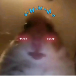 AestheticxKitty Group