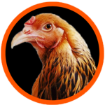Stronghold Gaming
