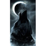 Nightwolves Group.