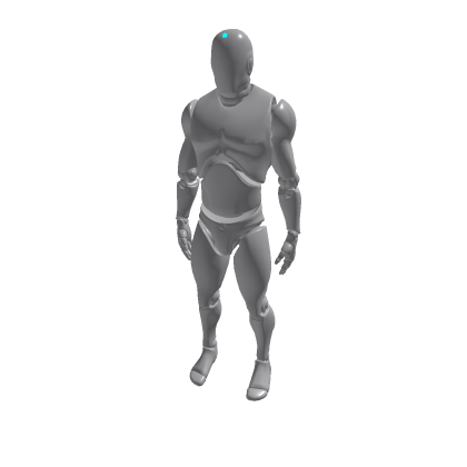 Customizable robot