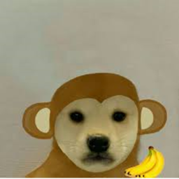 doge hangout (i will update)