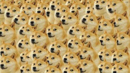 Doge Runner