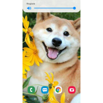Doge army forever!