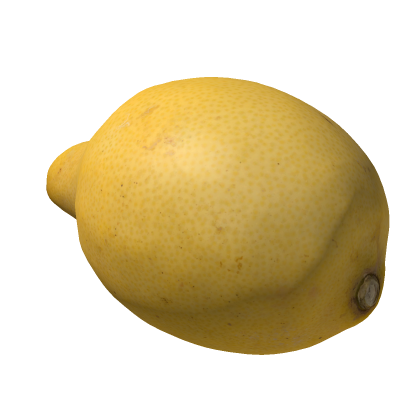[Free!] Lemon (Citrus limon)! Gym Pack Urban Furni