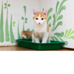 Fanaticos de los Gatos