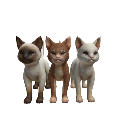 ✭IMPORT✭ || Cats