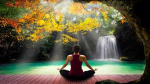 Blissful Escapes