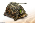 the epicc turtle army