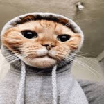 ملتقئ العرب